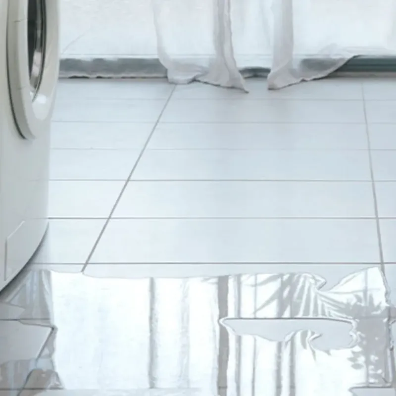Appliance Leak Cleanup in West Branch, MI