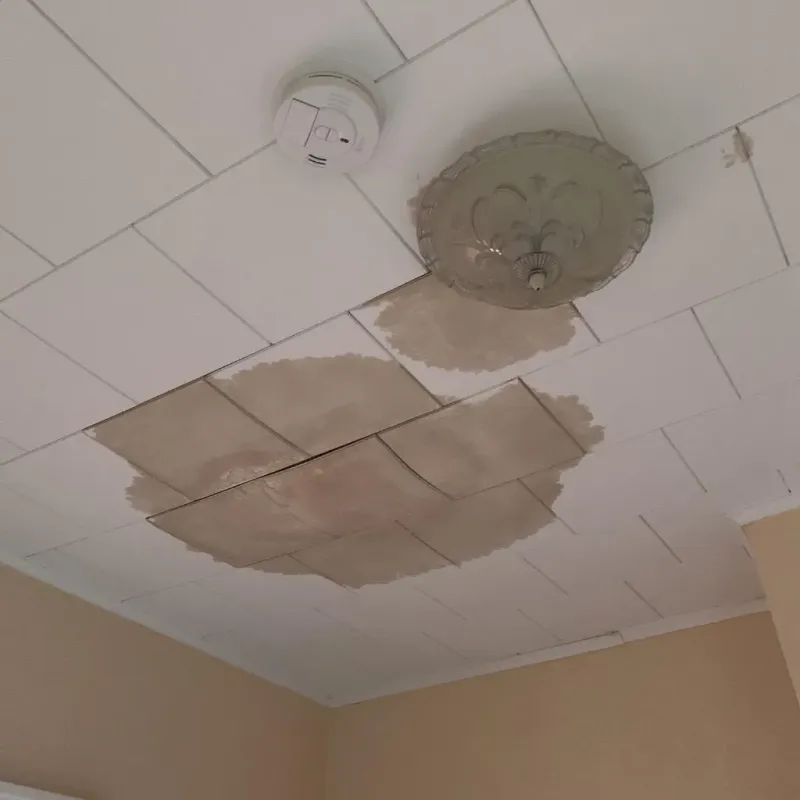 Ceiling Water Damage Repair in West Branch, MI