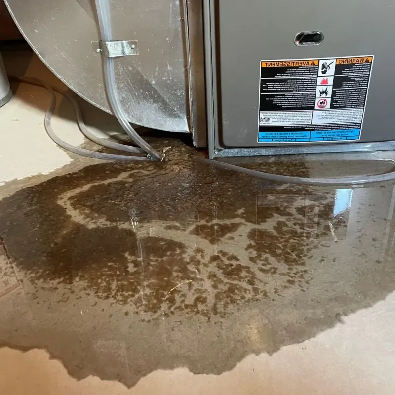Pipe Burst and Leak Restoration in West Branch, MI